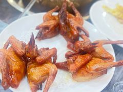 -鸽鸟轩(石岐店)