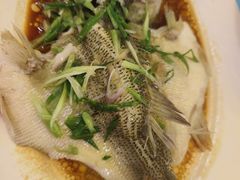 特色香葱淋鲈鱼-粤·向群饭店(泮塘路店)