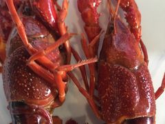 -霸王虾·麻辣小龙虾(清水河公园店)