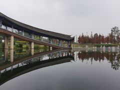 -眉山湿地公园(东坡区)