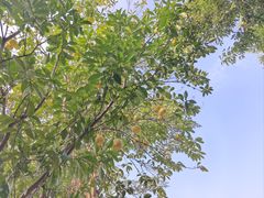 -广州神农草堂中医药博物馆