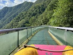 -芦仙山景区-飞越丛林探险乐园