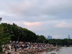 -深圳湾公园(南山区)