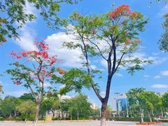 -映月湖公园
