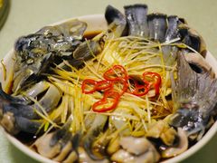 -煲来饱去冷水鱼