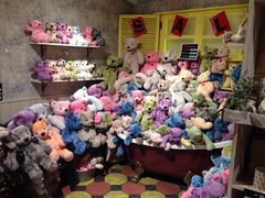 -济州岛泰迪熊博物馆