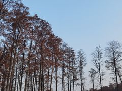 -武汉欢乐谷