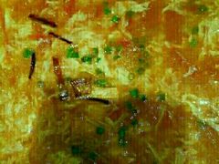 -吕氏疙瘩汤·私家菜馆(慈云寺店)