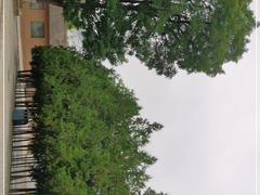 -延安杨家岭革命旧址