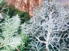 -森野花艺培训·企业团建活动沙龙