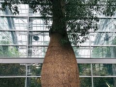 -南山植物园