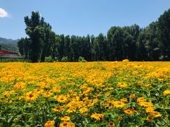 -百里山水画廊