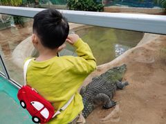 -西霞口神雕山野生动物世界