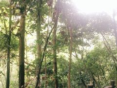 -磐安舞龙峡景区