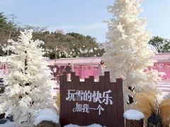 -盈香心动乐园