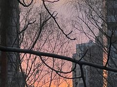 -团结湖公园