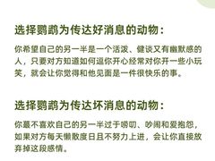 -德瑞姆心理咨询旗舰店