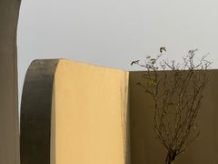 -喜蓝台·HI UP LAND度假餐厅