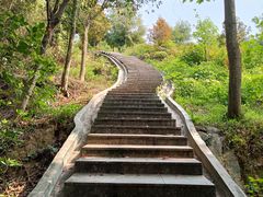 -火炉山森林公园