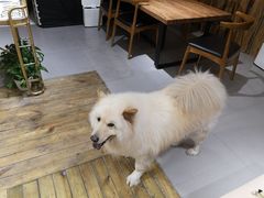 -肆兮眼镜·蔡司·徕卡战略合作店(大坪店)
