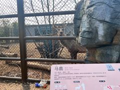 -武汉动物园