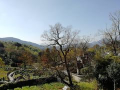 -塔川景区