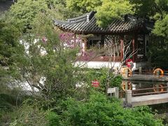 -汇龙潭