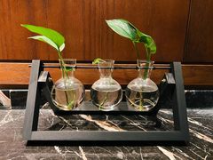 -丽江金茂隐逸酒店-凯悦臻选SPA