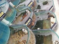-烁佳海鲜大馅饺子