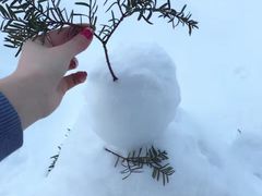 -北海道厅旧本厅舍(旧本庁舎)