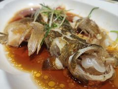 -望乡楼上海菜(日月光店)