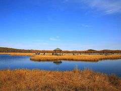 -塞罕坝国家级自然保护区