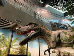 -湖南省地质博物馆