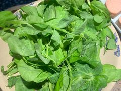 豌豆尖-小龙坎老火锅(工体店)