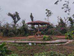 -海南热带野生动植物园