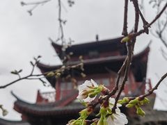 -堤角公园