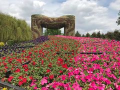 -长春公园(普阳街道)