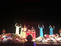 -合肥大剧院