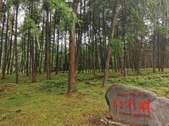 -硗碛藏寨·神木垒景区