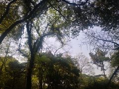 -汇龙潭
