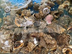 -雅逸居海鲜小厨