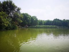 -洛阳市隋唐城遗址植物园
