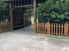 -长兴岛郊野公园农场食堂