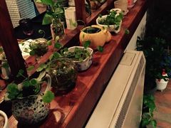 iphone_upload_pic-铃木食堂(帽儿胡同店)