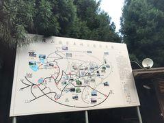 -武陵山森林公园