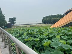 -滆湖低碳生态公园