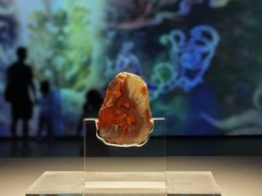 -北京大葆台遗址博物馆