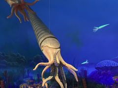 -国家自然博物馆