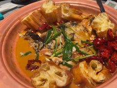 -柿合缘新京菜(国金中心商场店)