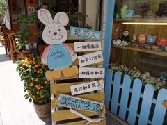-南丫岛